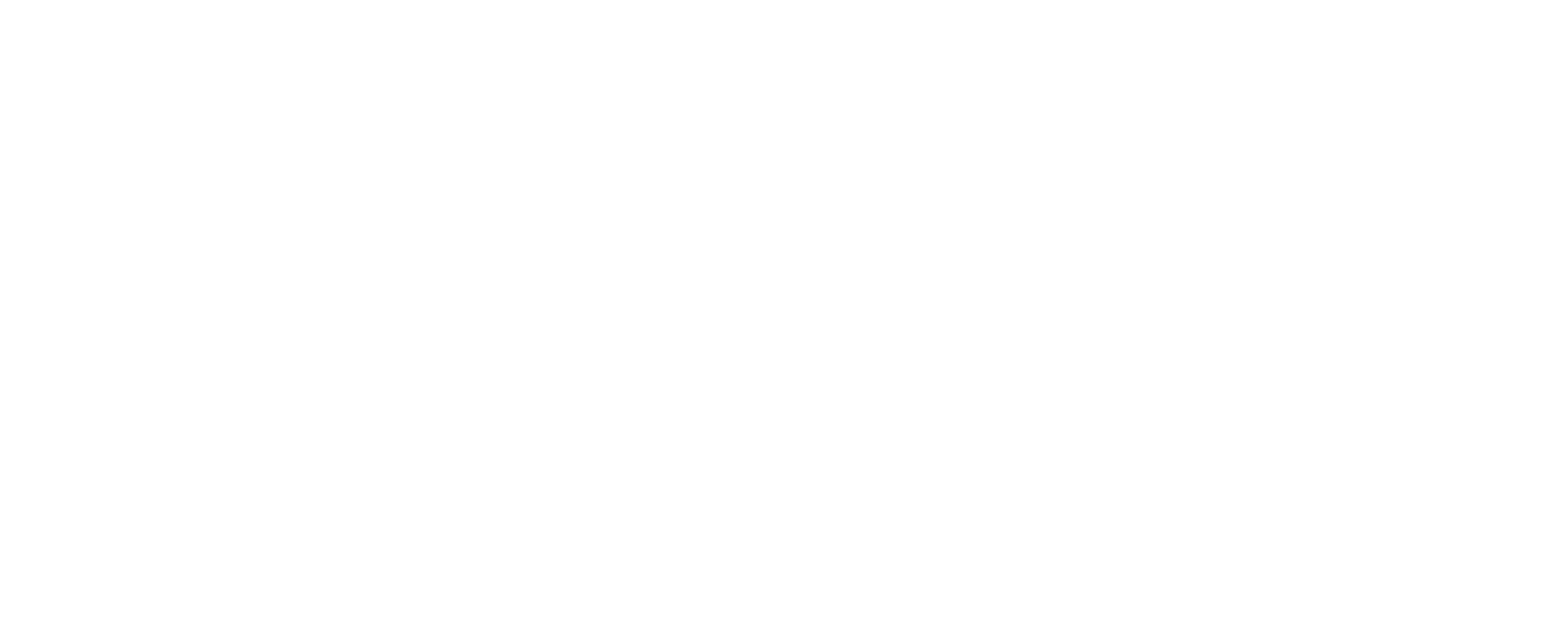 Baylor Scott & White Texas Brain and Spine Institute logo